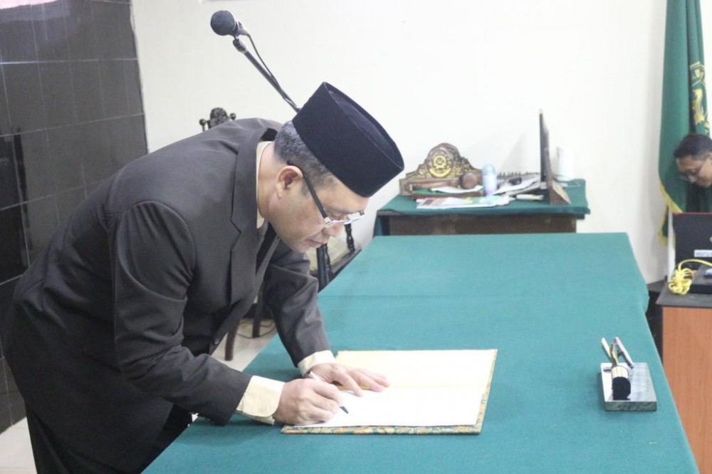 P. kodir 7