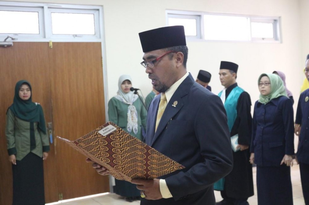 P. kodir 8