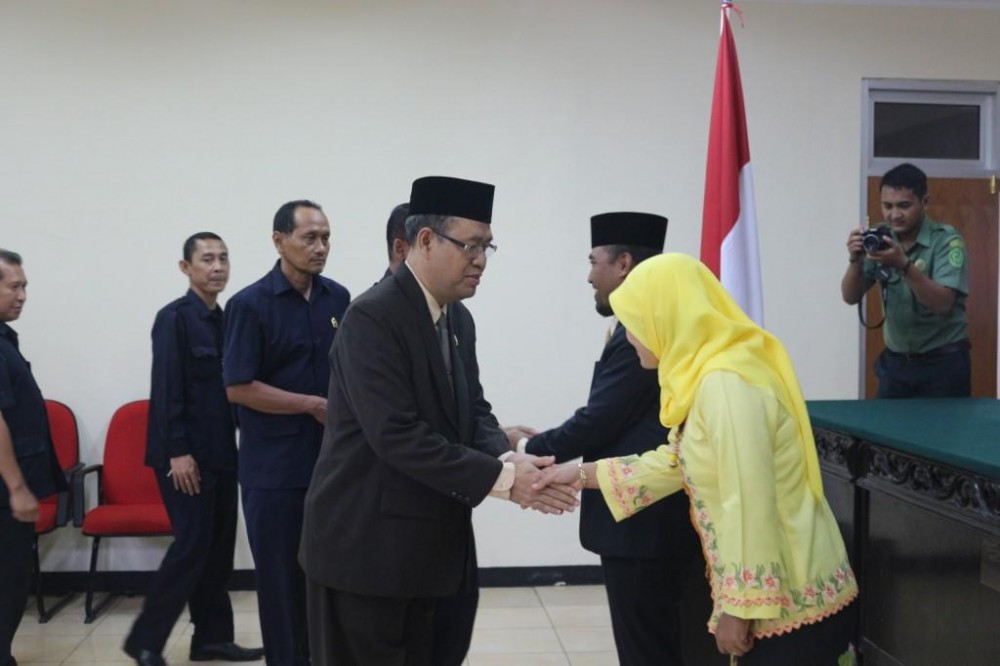 P. kodir 9